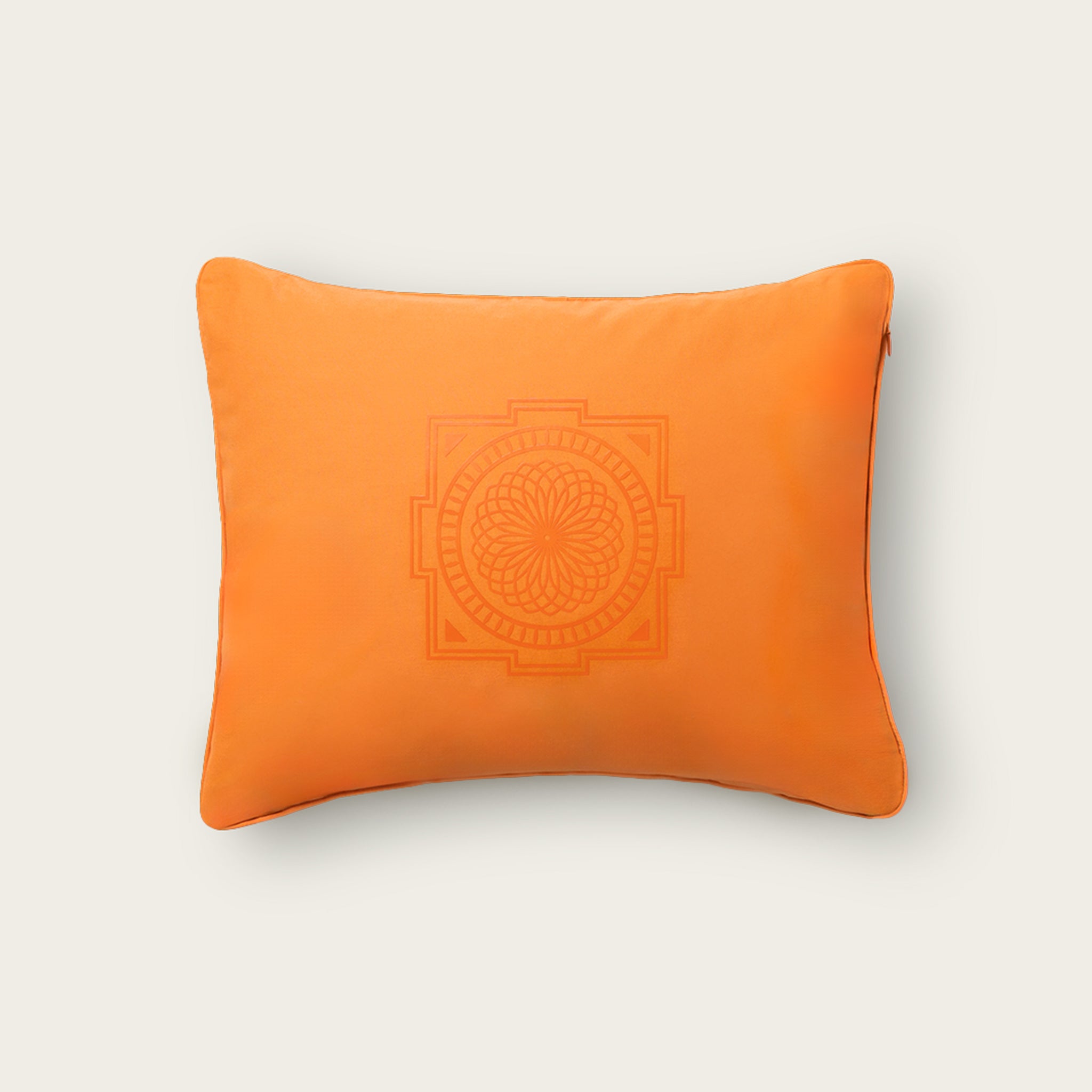 Level 2+Amber