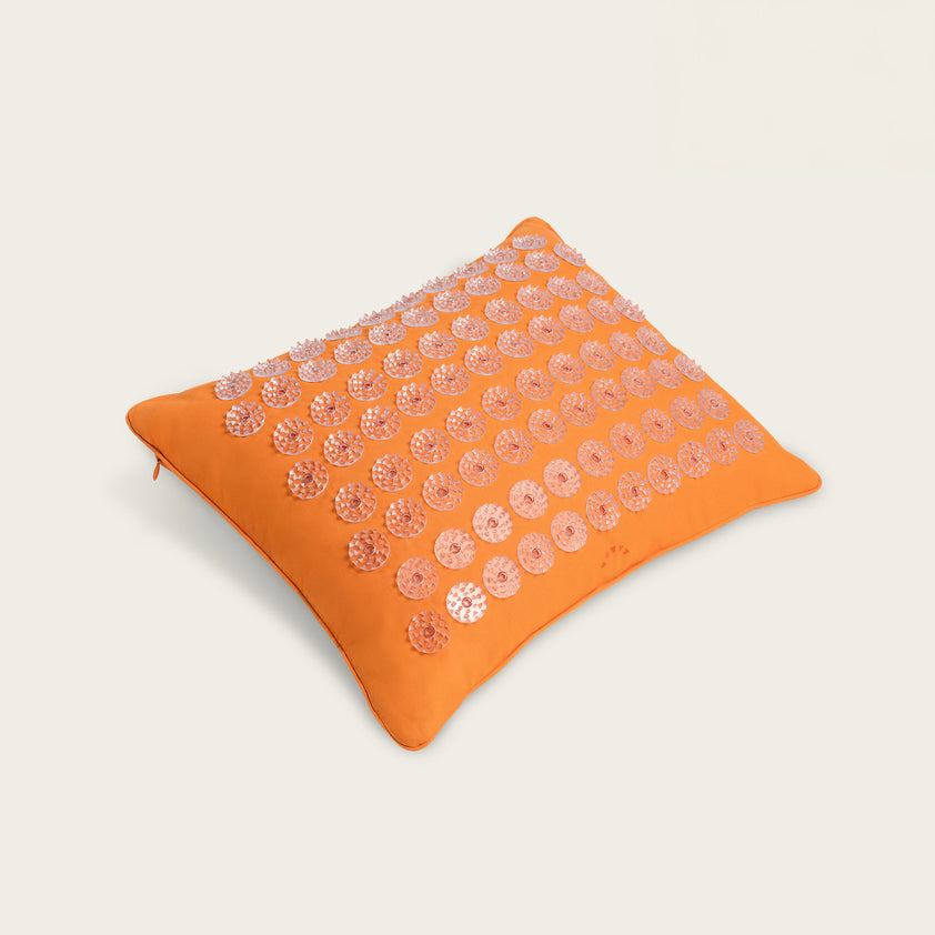 Level 2+Amber